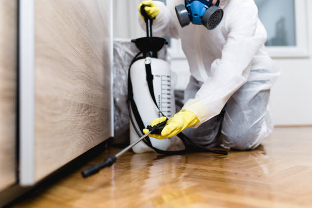 Best Bed Bug Extermination  in East Williston, NY
