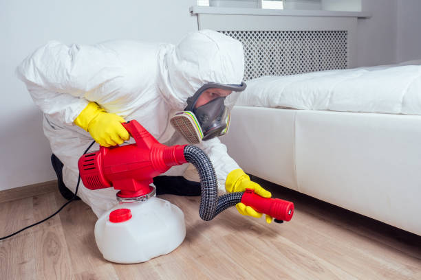 Best Pest Prevention Services  in East Williston, NY