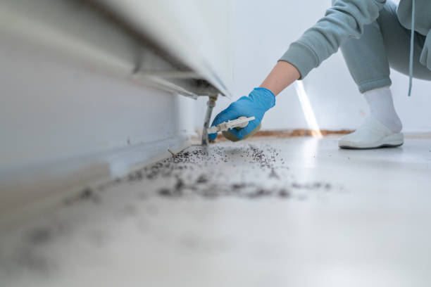  East Williston, NY Pest Control Pros